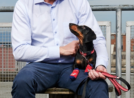 Sport Pawks- Dog Socks - Dog.Dog.Cat.