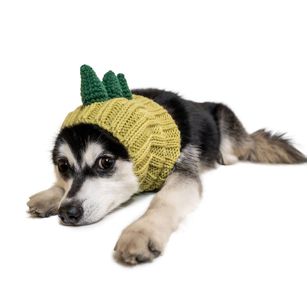 Zoo Snoods - Dinosaur Zoo Snood - Dog.Dog.Cat.