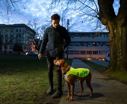 RC Poppin Light - Dog.Dog.Cat.