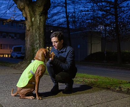 RC Poppin Light - Dog.Dog.Cat.