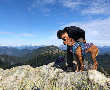 RC Pet Shasta Coat - Dog.Dog.Cat.