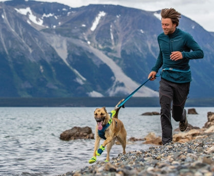 RC Pets Apex Boots - Dog.Dog.Cat.