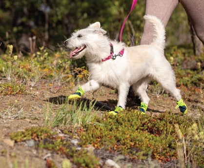 RC Pets Apex Boots - Dog.Dog.Cat.