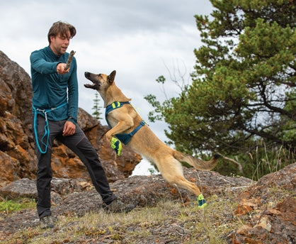 RC Pets Apex Boots - Dog.Dog.Cat.