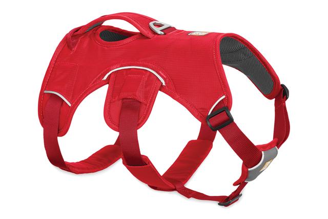 Ruffwear WebMaster Dog Harness