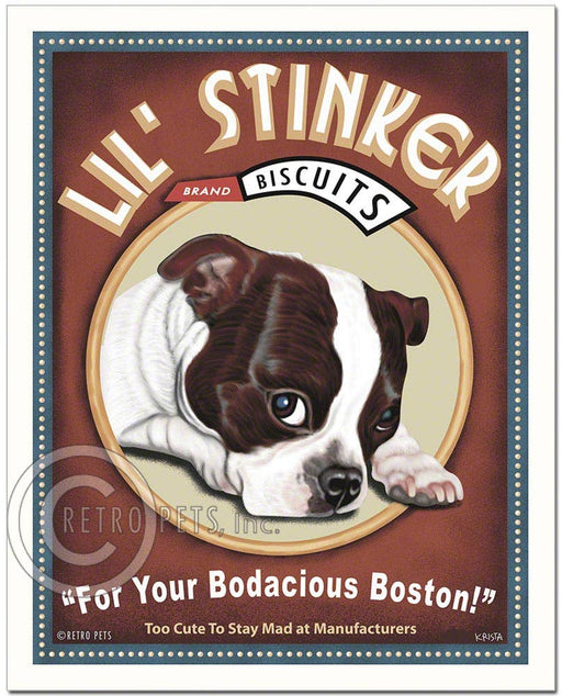T-105  8x10 Print, Boston Terrier "Lil' Stinker, Brown/wh"