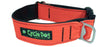 Cycle Dog - Orange MAX Reflective Dog Collar