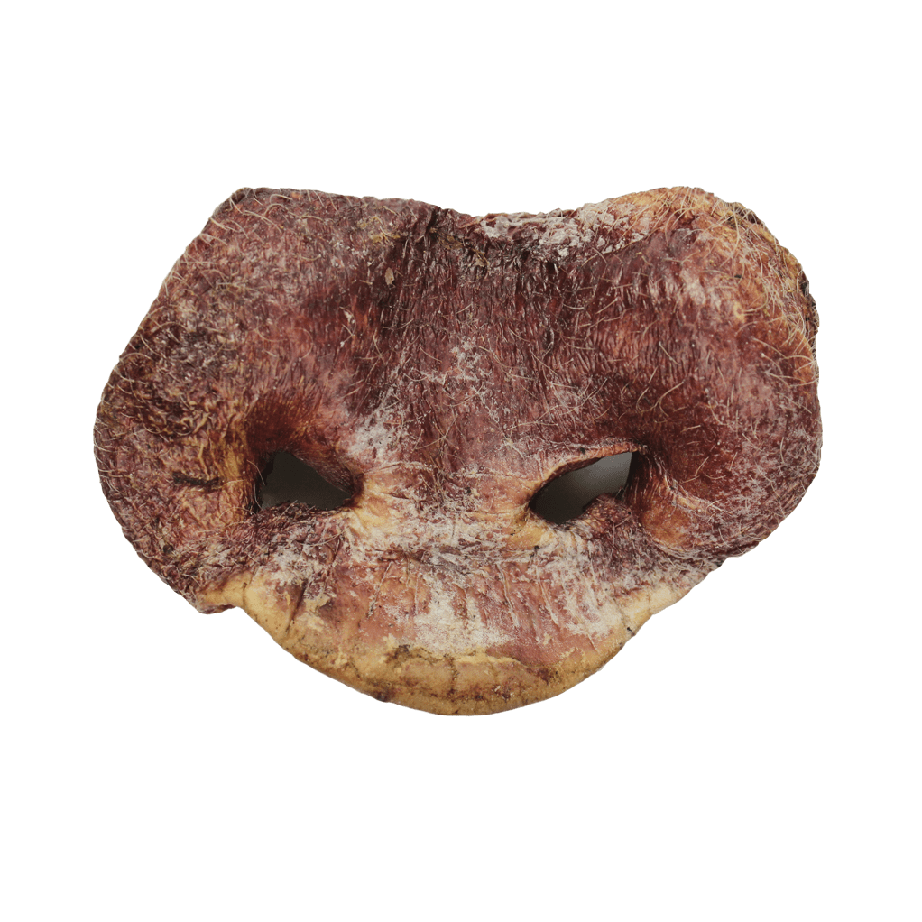 Vital Essentials Freeze-Dried Pig Snouts - Dog.Dog.Cat.