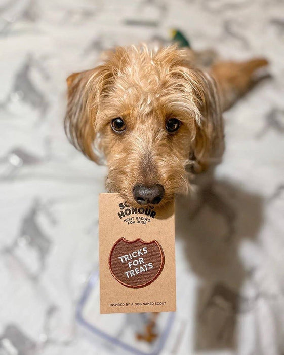 Tricks for Treats iron-on patch for dogs