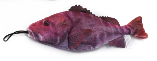 SALE: Saltwater Red Snapper