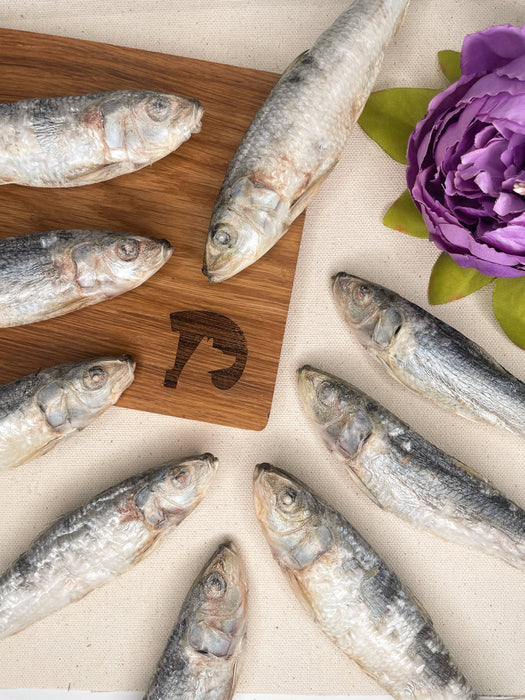 Freeze-dried Wild Caught Sardines