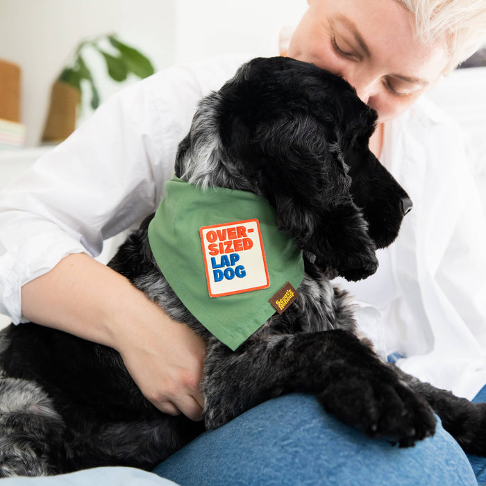 Oversized Lap Dog iron-on patch for dogs