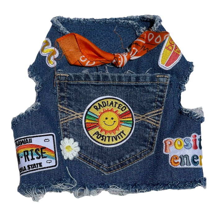 Heads or Tails Pup - Denim Harness - Summer Collection Positivity