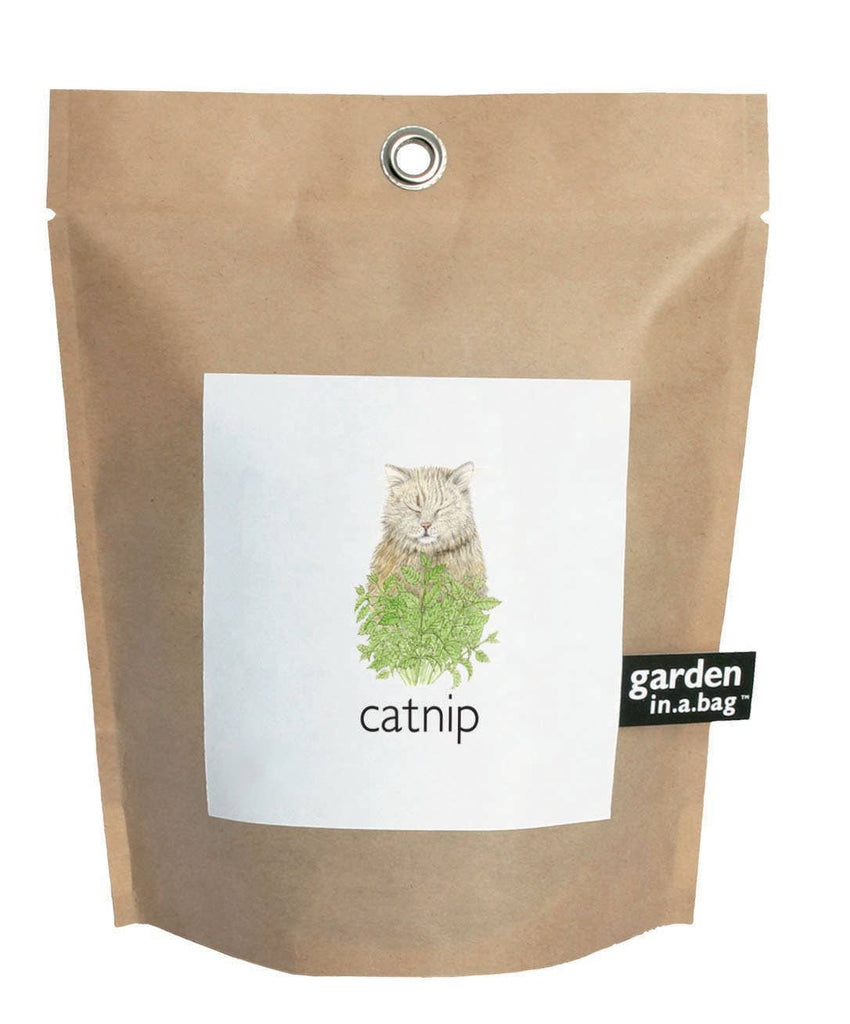 Garden in a Bag | Catnip - Dog.Dog.Cat.