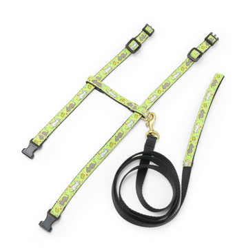 Say Cheese Cat Harness Set - Dog.Dog.Cat.