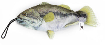 Freshwater Bass - Dog.Dog.Cat.