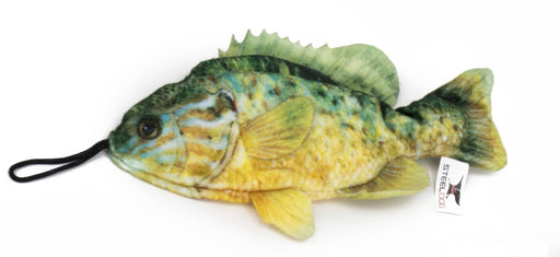 Freshwater Sunfish