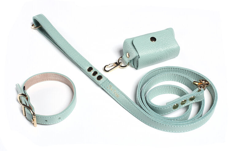 Fine Doggy Leather Collar - Dog.Dog.Cat.