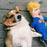 Political Parody - Donald Dog Toy Classic