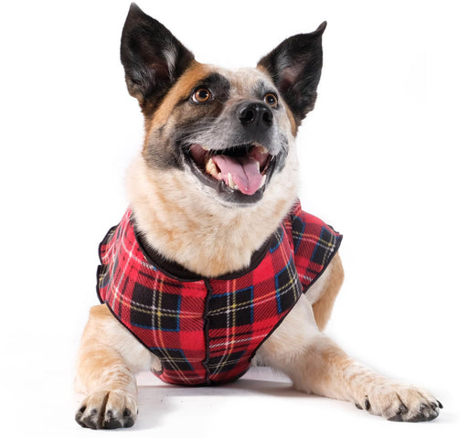 Gold Paw Duluth Double Fleece