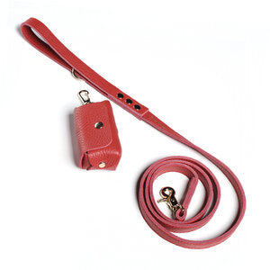Fine Doggy Leather Leash