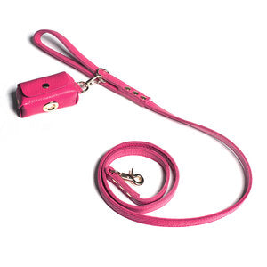Fine Doggy Leather Leash