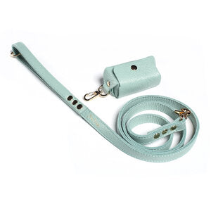 Fine Doggy Leather Leash