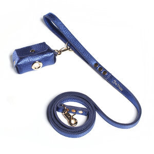 Fine Doggy Leather Leash