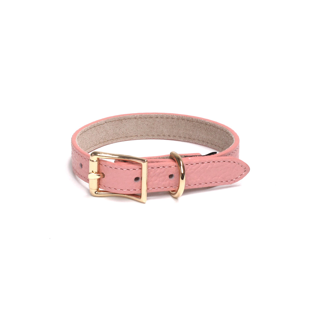 Fine Doggy Leather Collar - Dog.Dog.Cat.