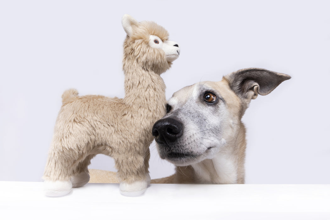 Fluff and Tuff Dog Toys - Inca Alpaca