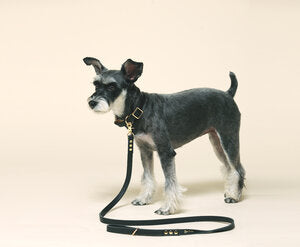 Fine Doggy Leather Leash