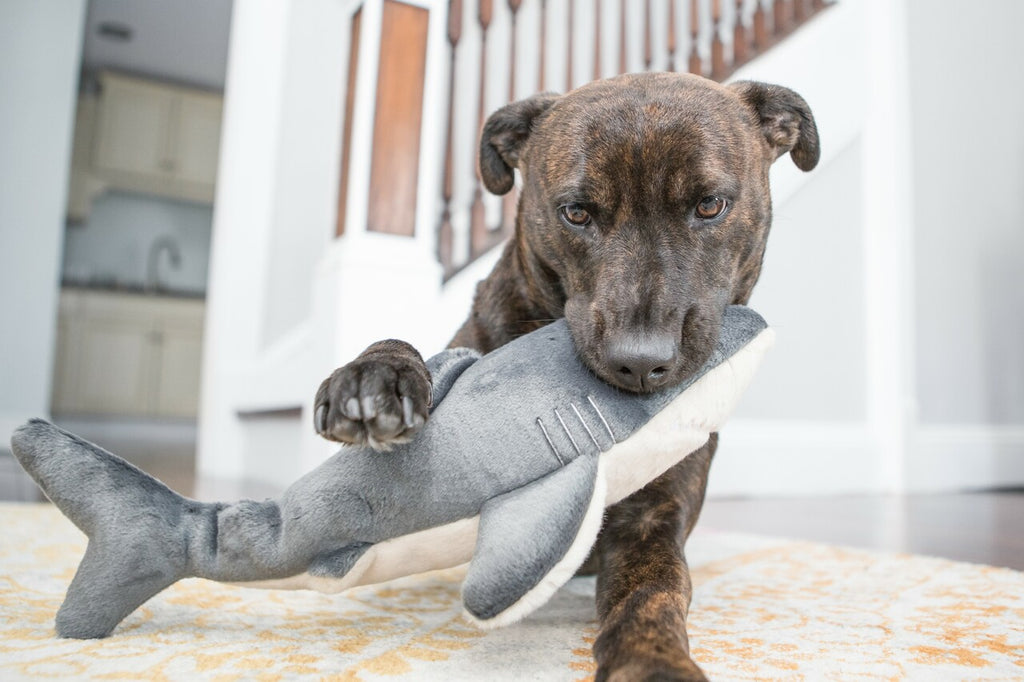 Fluff and Tuff Dog Toys -Mac The Shark - Dog.Dog.Cat.