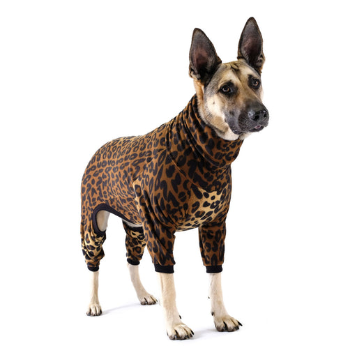 Gold Paw Onesie