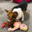 Political Parody - Rootin' Tootin' Putin Cat Toy