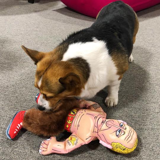 Political Parody - Rootin' Tootin' Putin Cat Toy