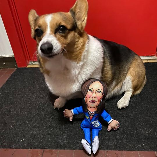 Political Parody - Vice President Kamala Harris Dog Toy