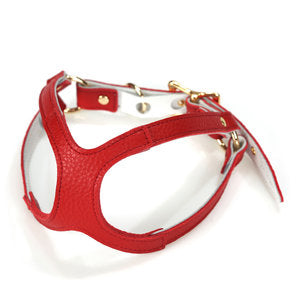 Fine Doggy Leather Harness