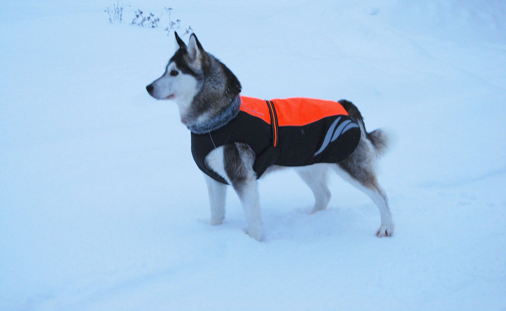 True Love Mt. Tallac Dog Coat TLG2371 - Dog.Dog.Cat.