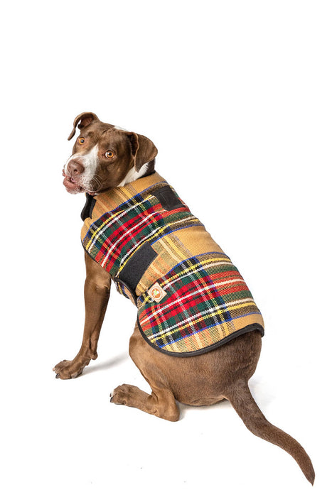 Chilly Dog Blanket Coat
