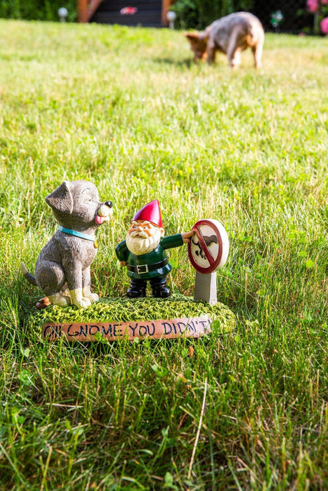 BigMouth Inc - Pooping Dog Gnome