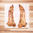 Farm Hound Bulk Chew: Hog Feet Large 9"-13"