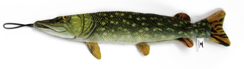 Freshwater Northern - Dog.Dog.Cat.