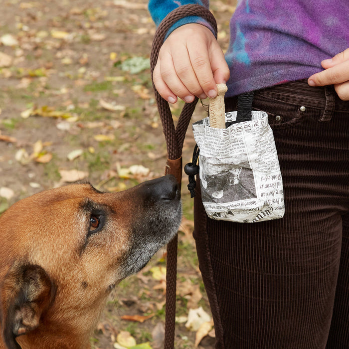 Kikkerland Design Inc - Dog Treat Bag