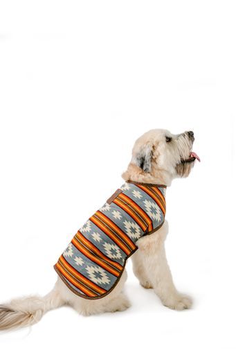 Chilly Dog Dog Blanket Coat