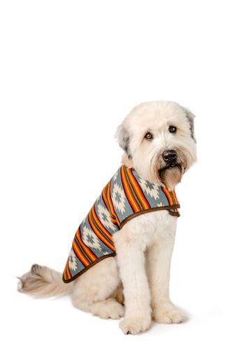 Chilly Dog Dog Blanket Coat