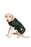 Chilly Dog Blanket Coat - Navy Tartan