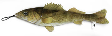 Freshwater Walleye - Dog.Dog.Cat.