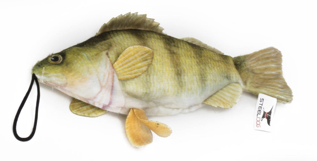 Freshwater Perch - Dog.Dog.Cat.