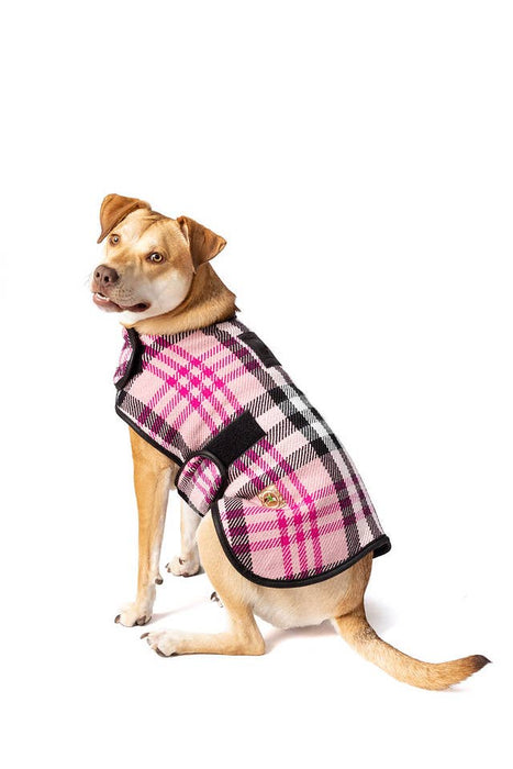 CHILLY DOG LLC - Pink Plaid Blanket Dog Coat
