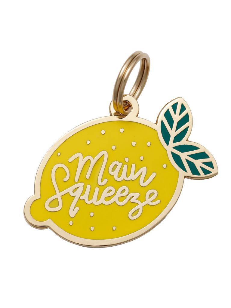 Main Squeeze Pet ID Tag - Dog.Dog.Cat.